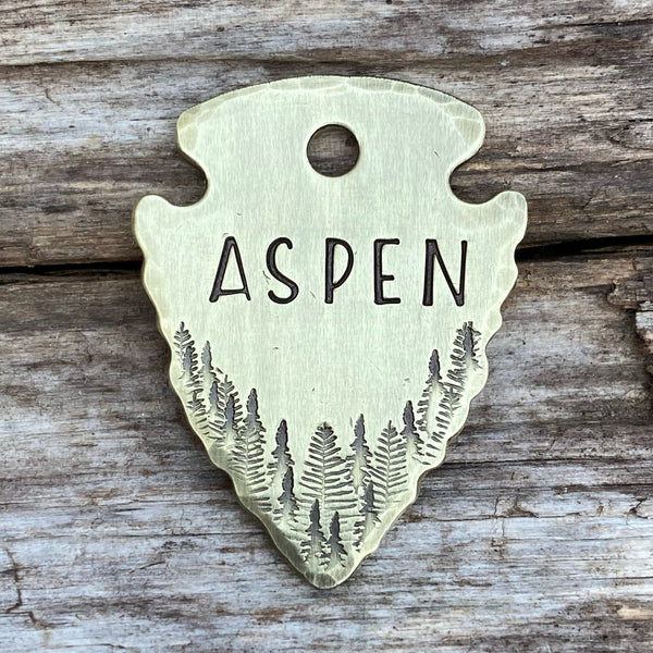 The Aspen Arrowhead
