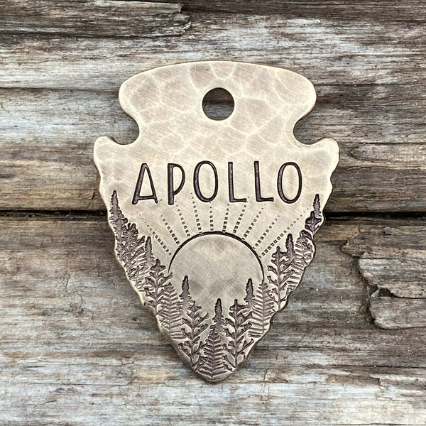 Sunrise Landing Arrowhead