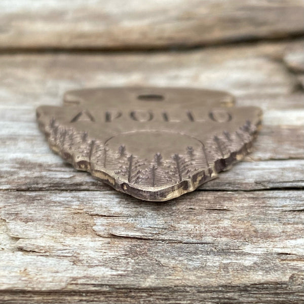 Sunrise Landing Arrowhead
