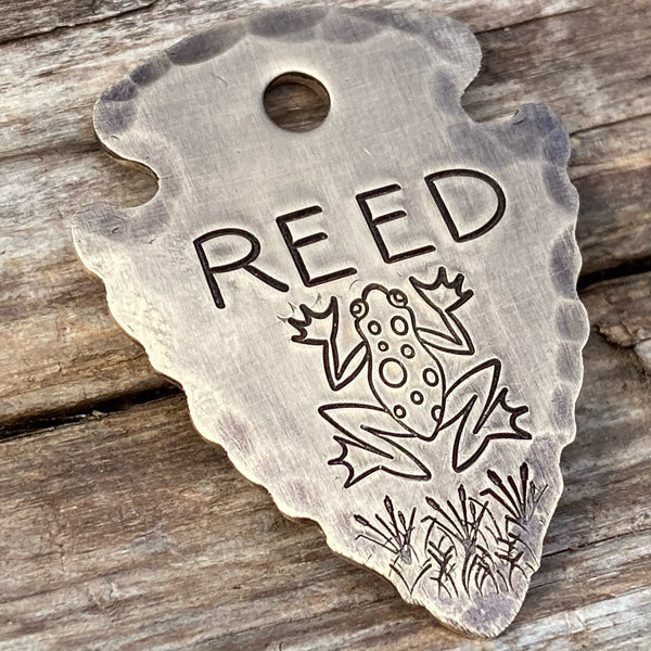 The Reed Frog Arrowhead